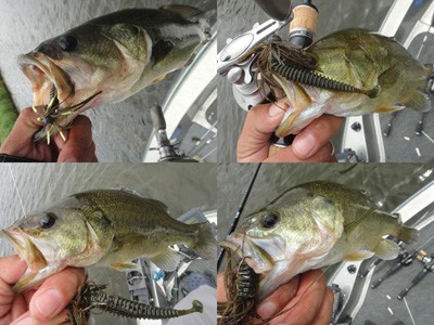 プロショップオオツカ バスフィッシング用品ネット通信販売 ブログ写真 2012/07/26