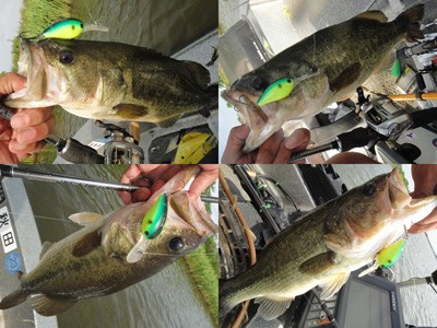 プロショップオオツカ バスフィッシング用品ネット通信販売 ブログ写真 2012/07/26