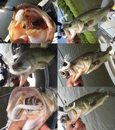 プロショップオオツカ バスフィッシング用品ネット通信販売 ブログ写真 2012/07/26