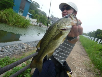 プロショップオオツカ バスフィッシング用品ネット通信販売 ブログ写真 2012/07/27