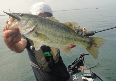 プロショップオオツカ バスフィッシング用品ネット通信販売 ブログ写真 2012/08/02