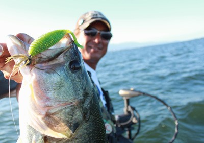 プロショップオオツカ バスフィッシング用品ネット通信販売 ブログ写真 2012/08/02