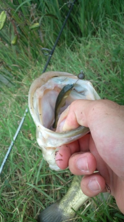 プロショップオオツカ バスフィッシング用品ネット通信販売 ブログ写真 2012/08/08