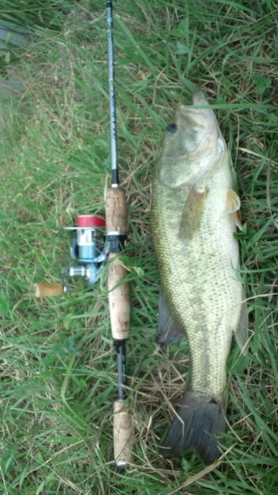 プロショップオオツカ バスフィッシング用品ネット通信販売 ブログ写真 2012/08/08