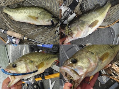 プロショップオオツカ バスフィッシング用品ネット通信販売 ブログ写真 2012/08/09