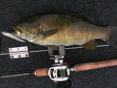 プロショップオオツカ バスフィッシング用品ネット通信販売 ブログ写真 2012/09/07