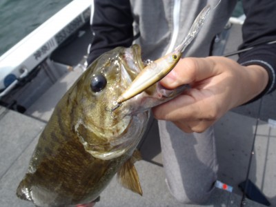 プロショップオオツカ バスフィッシング用品ネット通信販売 ブログ写真 2012/09/12