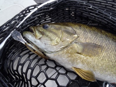 プロショップオオツカ バスフィッシング用品ネット通信販売 ブログ写真 2012/09/12