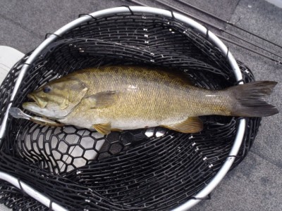 プロショップオオツカ バスフィッシング用品ネット通信販売 ブログ写真 2012/09/12