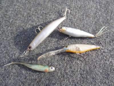 プロショップオオツカ バスフィッシング用品ネット通信販売 ブログ写真 2012/09/12