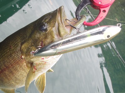 プロショップオオツカ バスフィッシング用品ネット通信販売 ブログ写真 2012/09/14