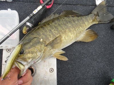 プロショップオオツカ バスフィッシング用品ネット通信販売 ブログ写真 2012/09/14