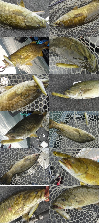 プロショップオオツカ バスフィッシング用品ネット通信販売 ブログ写真 2012/09/14