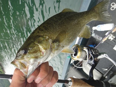 プロショップオオツカ バスフィッシング用品ネット通信販売 ブログ写真 2012/09/14