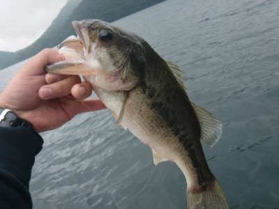 プロショップオオツカ バスフィッシング用品ネット通信販売 ブログ写真 2012/09/19