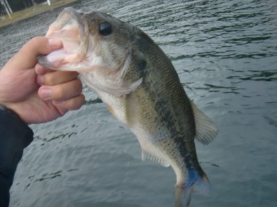 プロショップオオツカ バスフィッシング用品ネット通信販売 ブログ写真 2012/09/19