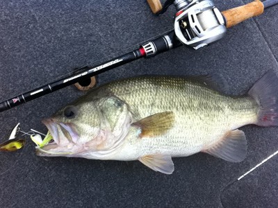 プロショップオオツカ バスフィッシング用品ネット通信販売 ブログ写真 2012/11/02