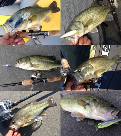 プロショップオオツカ バスフィッシング用品ネット通信販売 ブログ写真 2012/11/02