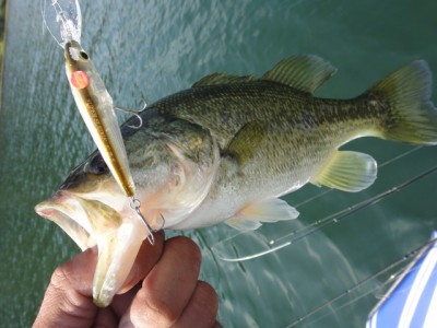 プロショップオオツカ バスフィッシング用品ネット通信販売 ブログ写真 2012/11/02