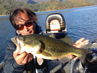 プロショップオオツカ バスフィッシング用品ネット通信販売 ブログ写真 2012/11/15