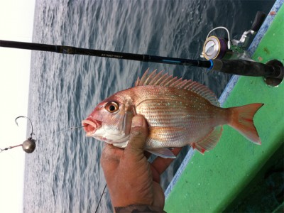 プロショップオオツカ バスフィッシング用品ネット通信販売 ブログ写真 2012/11/15