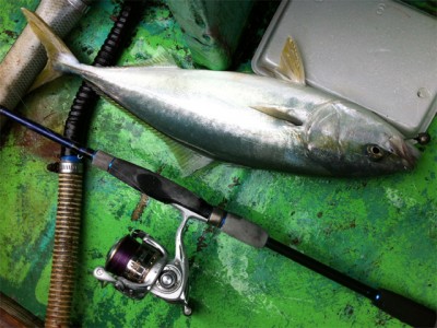 プロショップオオツカ バスフィッシング用品ネット通信販売 ブログ写真 2012/11/15