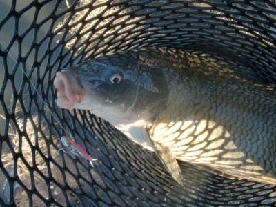 プロショップオオツカ バスフィッシング用品ネット通信販売 ブログ写真 2012/12/30