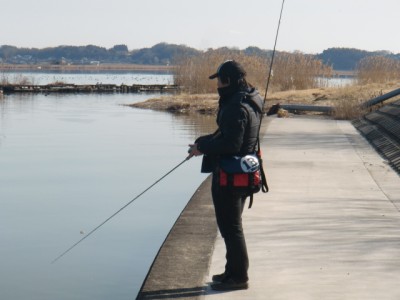 プロショップオオツカ バスフィッシング用品ネット通信販売 ブログ写真 2013/03/06