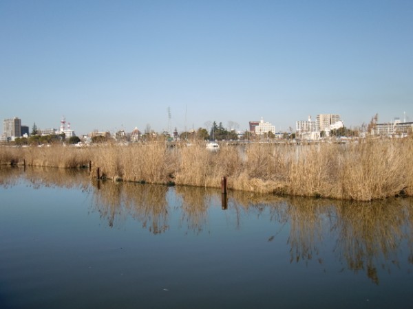 プロショップオオツカ バスフィッシング用品ネット通信販売 ブログ写真 2013/03/06