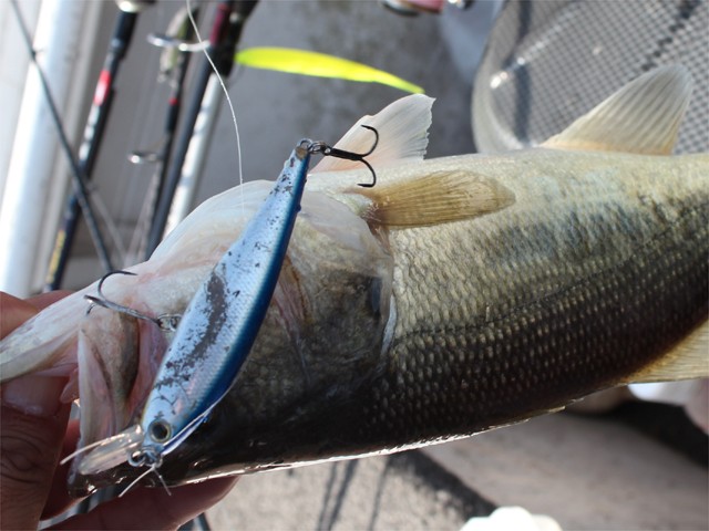 プロショップオオツカ バスフィッシング用品ネット通信販売 ブログ写真 2013/03/25