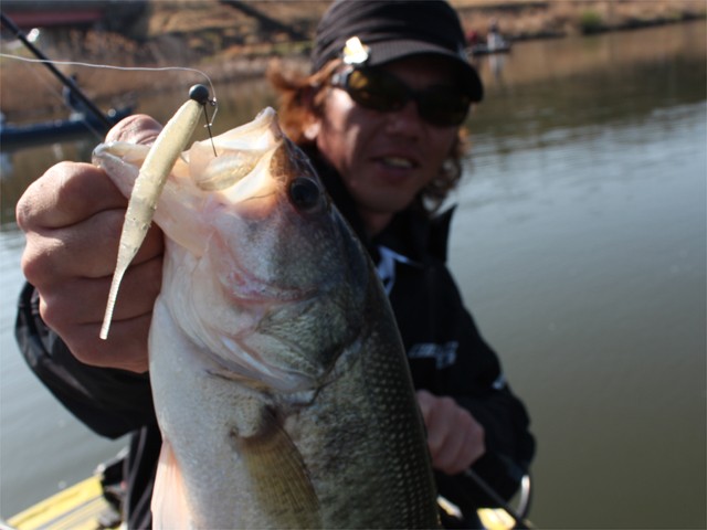 プロショップオオツカ バスフィッシング用品ネット通信販売 ブログ写真 2013/03/25