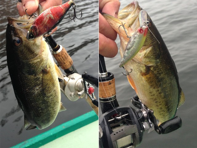 プロショップオオツカ バスフィッシング用品ネット通信販売 ブログ写真 2013/04/03