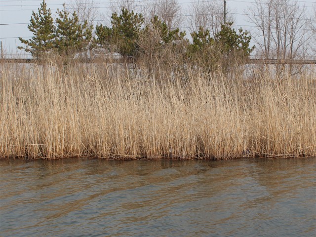 プロショップオオツカ バスフィッシング用品ネット通信販売 ブログ写真 2013/04/27