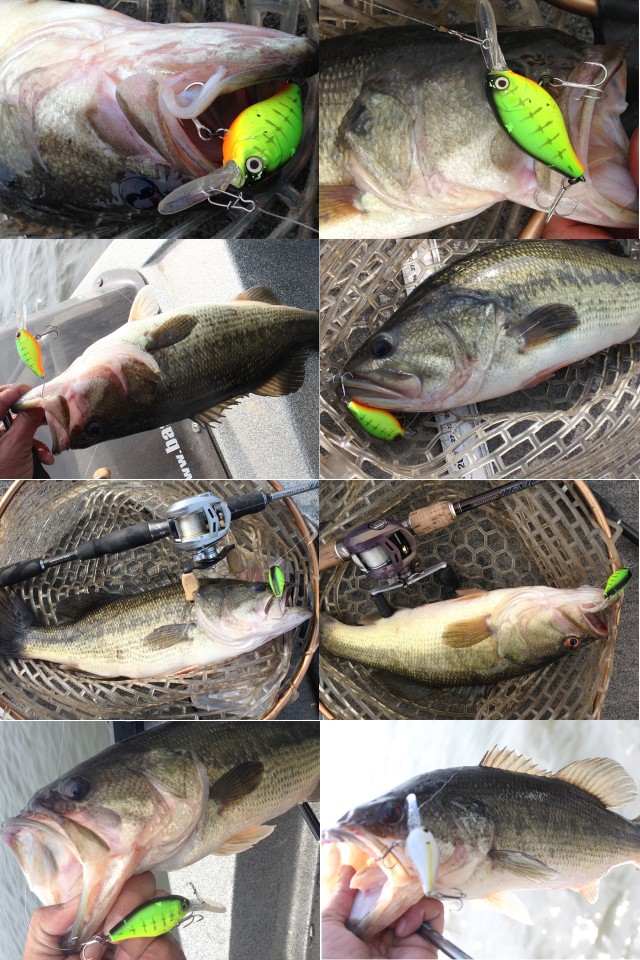 プロショップオオツカ バスフィッシング用品ネット通信販売 ブログ写真 2013/04/27