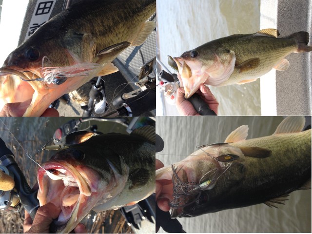 プロショップオオツカ バスフィッシング用品ネット通信販売 ブログ写真 2013/04/27