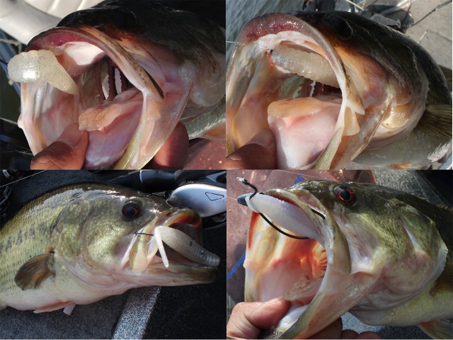 プロショップオオツカ バスフィッシング用品ネット通信販売 ブログ写真 2013/04/27