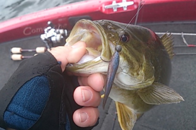 プロショップオオツカ バスフィッシング用品ネット通信販売 ブログ写真 2013/04/28