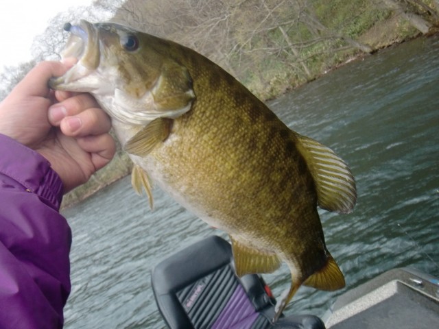 プロショップオオツカ バスフィッシング用品ネット通信販売 ブログ写真 2013/05/02