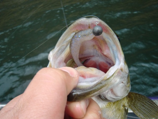 プロショップオオツカ バスフィッシング用品ネット通信販売 ブログ写真 2013/05/02