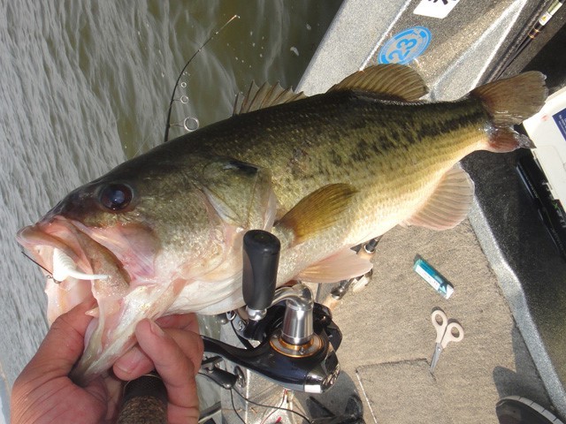 プロショップオオツカ バスフィッシング用品ネット通信販売 ブログ写真 2013/05/20