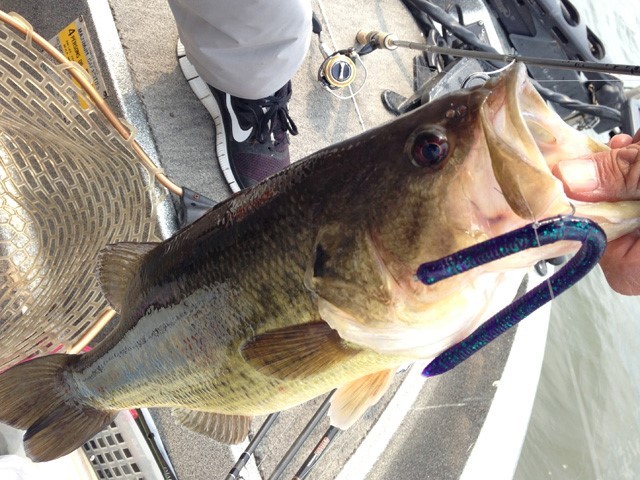 プロショップオオツカ バスフィッシング用品ネット通信販売 ブログ写真 2013/05/20