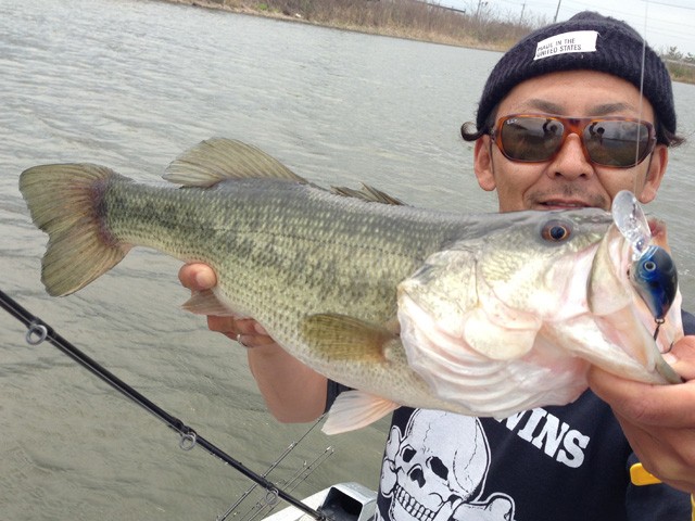 プロショップオオツカ バスフィッシング用品ネット通信販売 ブログ写真 2013/05/20