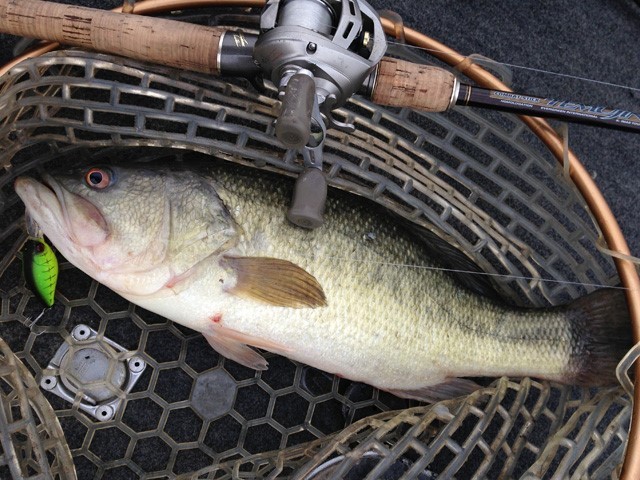 プロショップオオツカ バスフィッシング用品ネット通信販売 ブログ写真 2013/05/20