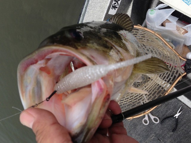 プロショップオオツカ バスフィッシング用品ネット通信販売 ブログ写真 2013/05/20