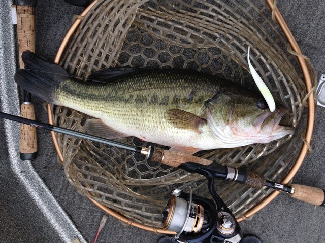 プロショップオオツカ バスフィッシング用品ネット通信販売 ブログ写真 2013/05/20