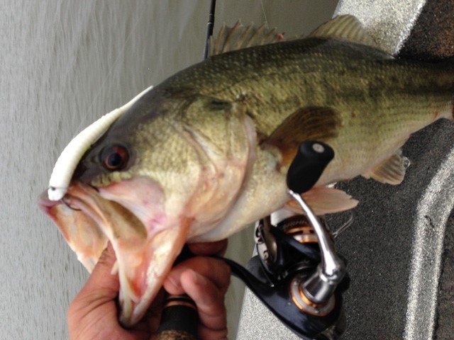 プロショップオオツカ バスフィッシング用品ネット通信販売 ブログ写真 2013/05/20