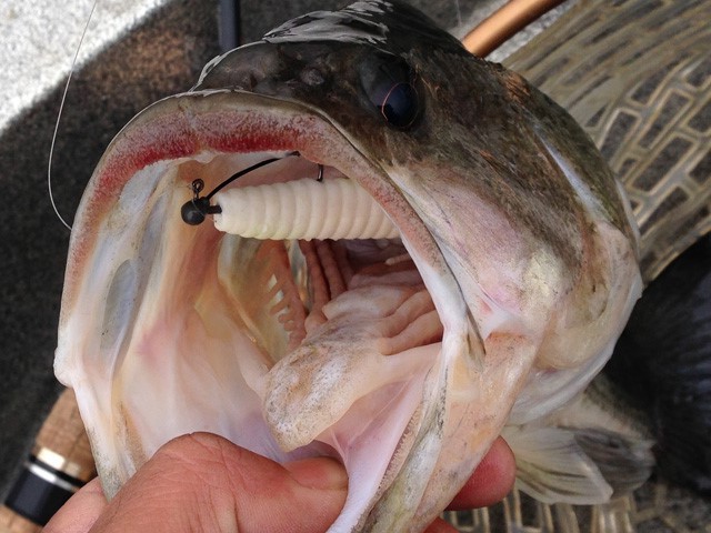 プロショップオオツカ バスフィッシング用品ネット通信販売 ブログ写真 2013/05/20