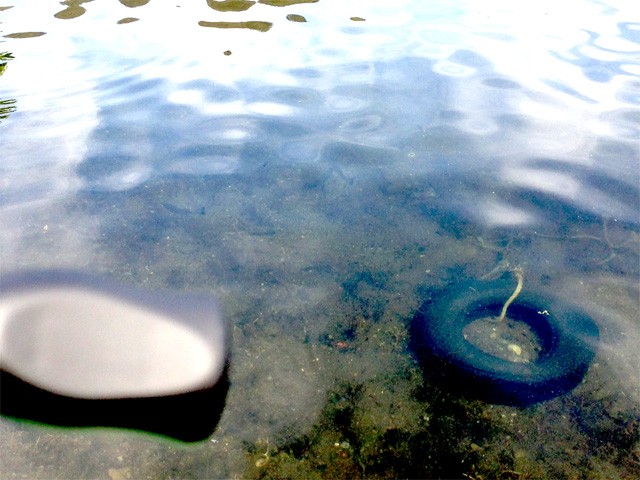 プロショップオオツカ バスフィッシング用品ネット通信販売 ブログ写真 2013/05/22