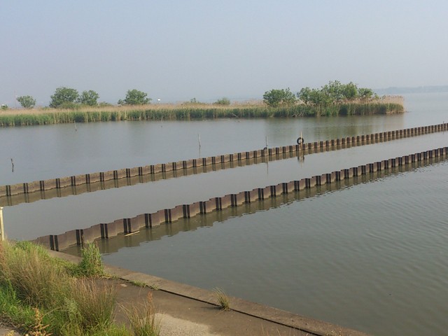 プロショップオオツカ バスフィッシング用品ネット通信販売 ブログ写真 2013/05/23