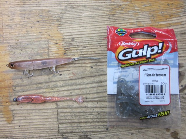 プロショップオオツカ バスフィッシング用品ネット通信販売 ブログ写真 2013/05/24